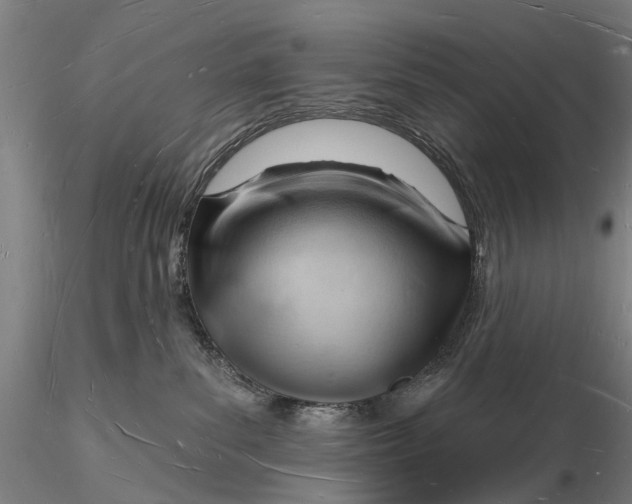 X0000116130139200912141118