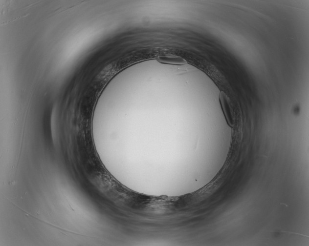 X0000116130140200912141118