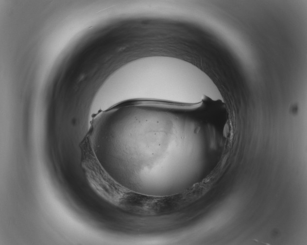 X0000116130143200912141118