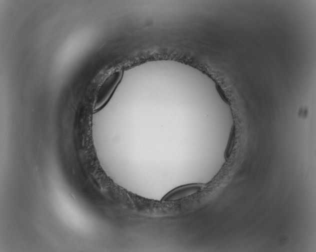 X0000116130144200912141118