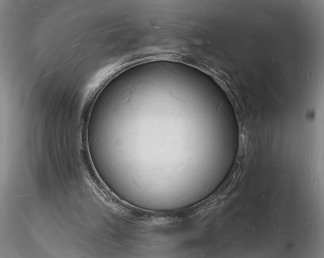 X0000116130149200912141117