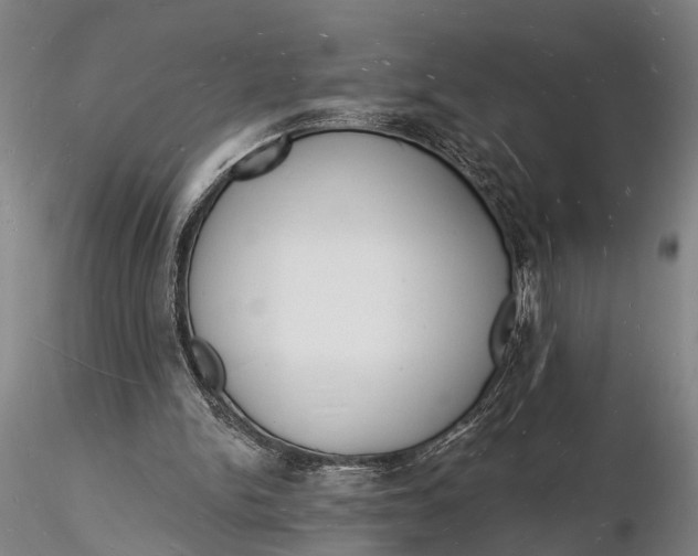 X0000116130150200912141117
