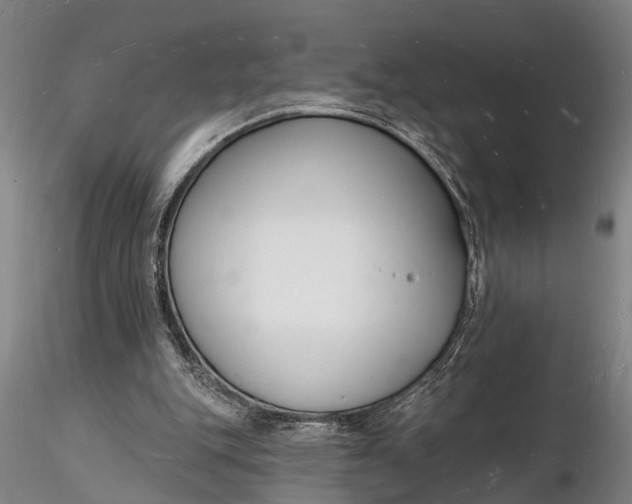 X0000116130151200912141117