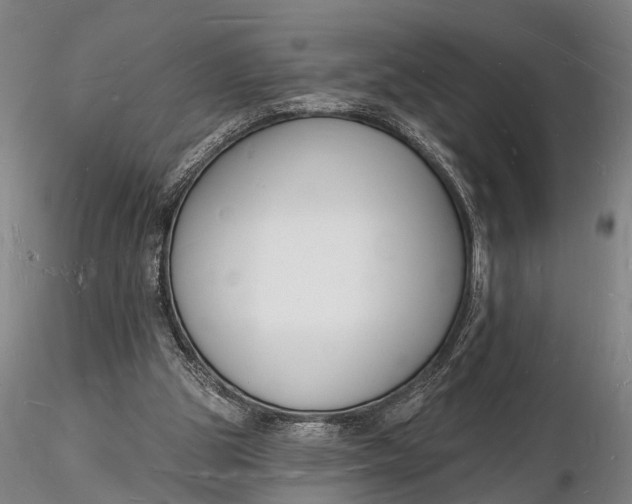 X0000116130153200912141117