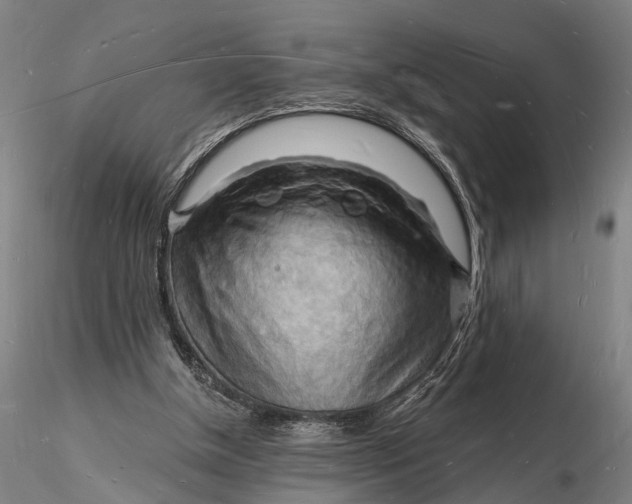 X0000116130154200912141117