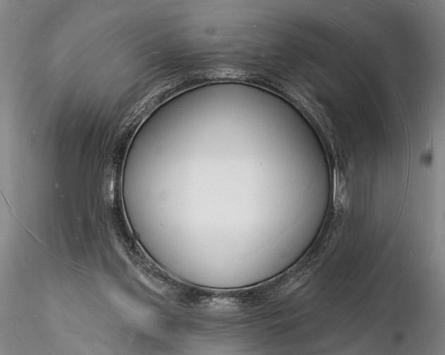 X0000116130157200912141117