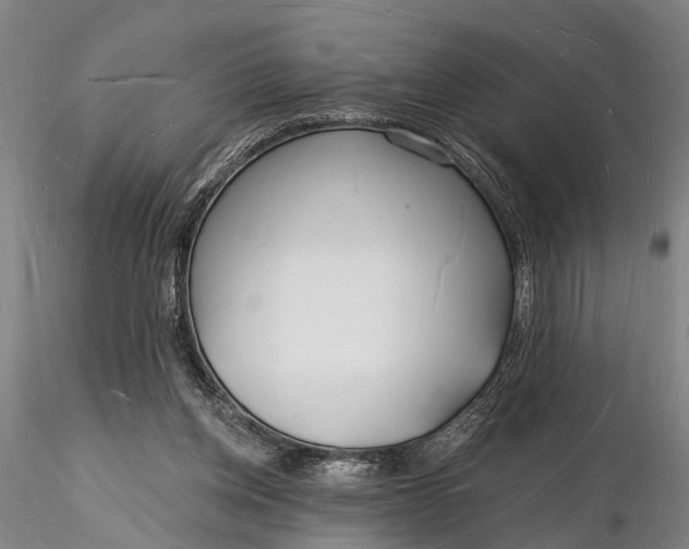 X0000116130158200912141117