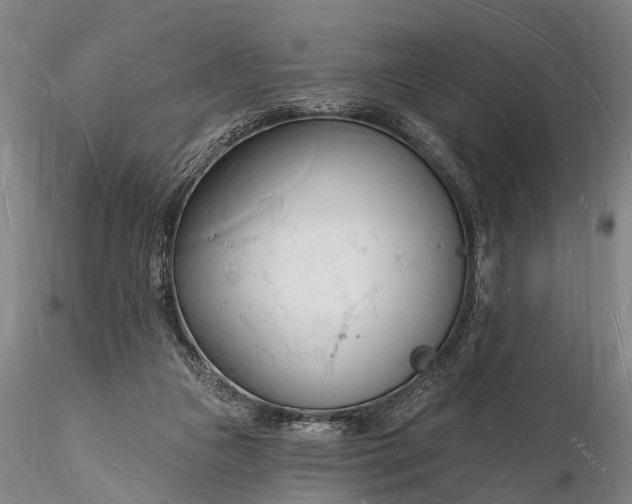 X0000116130161200912141117