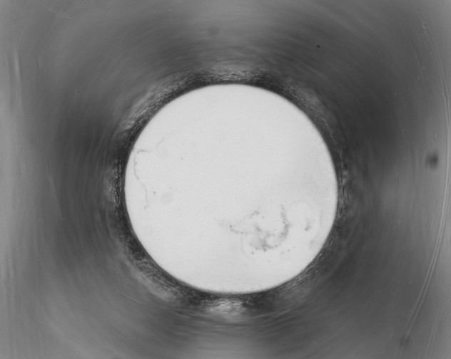 X0000116130162200912141117
