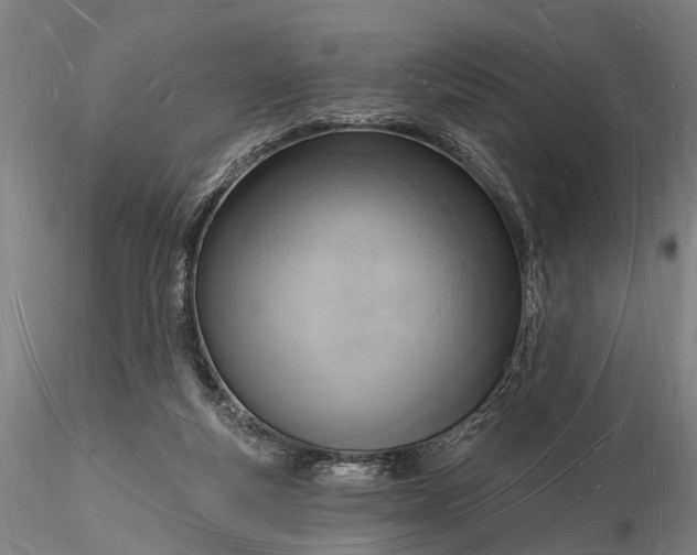 X0000116130163200912141117