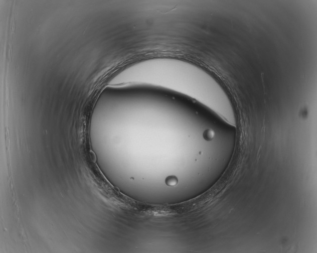 X0000116130165200912141117