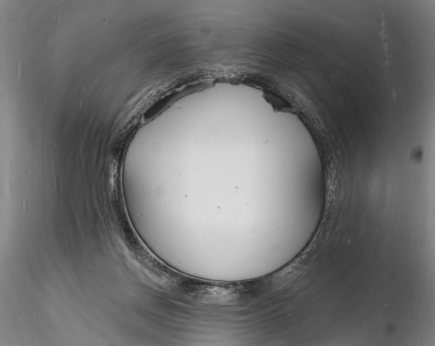 X0000116130166200912141117