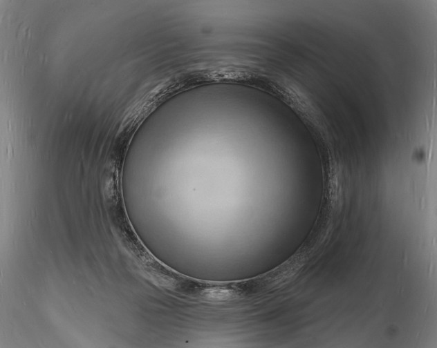 X0000116130169200912141118