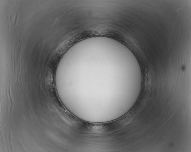 X0000116130173200912141118