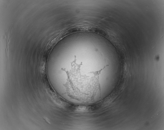 X0000116130177200912141118