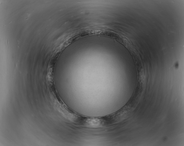 X0000116130181200912141118