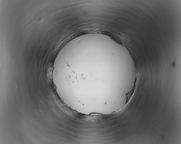 X0000116130190200912141118