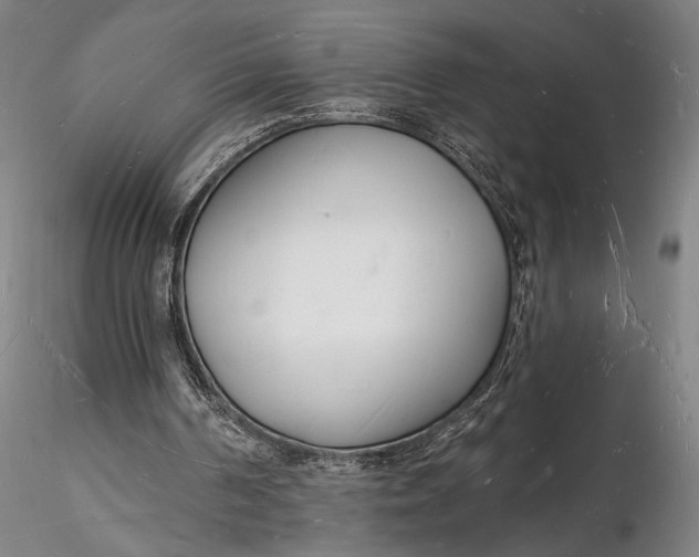 X0000116130194200912141117