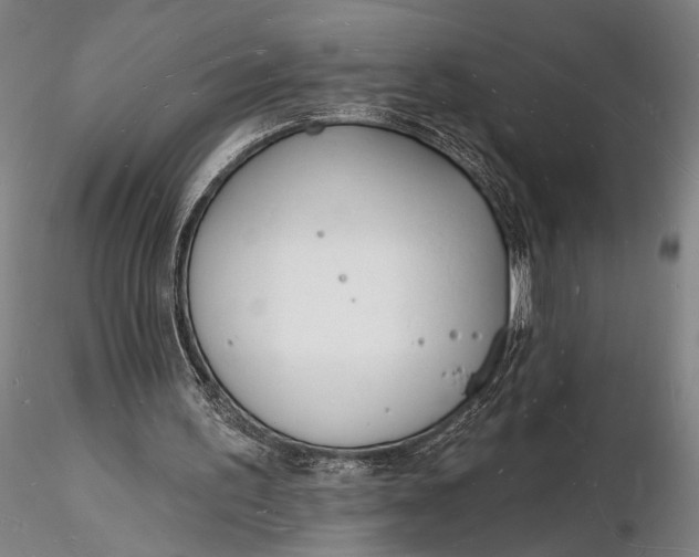 X0000116130195200912141117