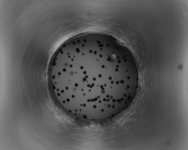 X0000116130196200912141117