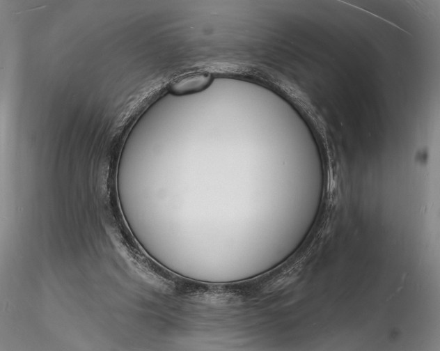 X0000116130201200912141117