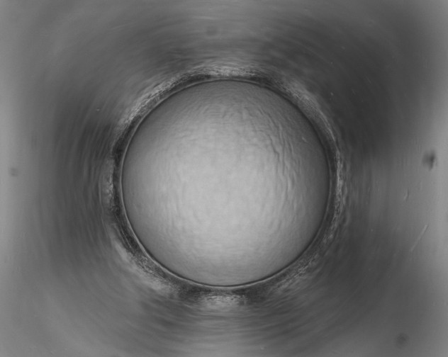 X0000116130202200912141117