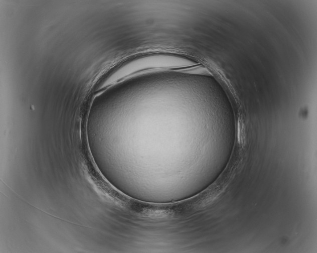 X0000116130205200912141117
