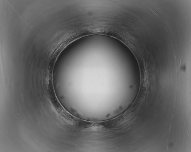 X0000116130210200912141117