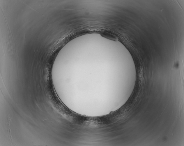 X0000116130211200912141117