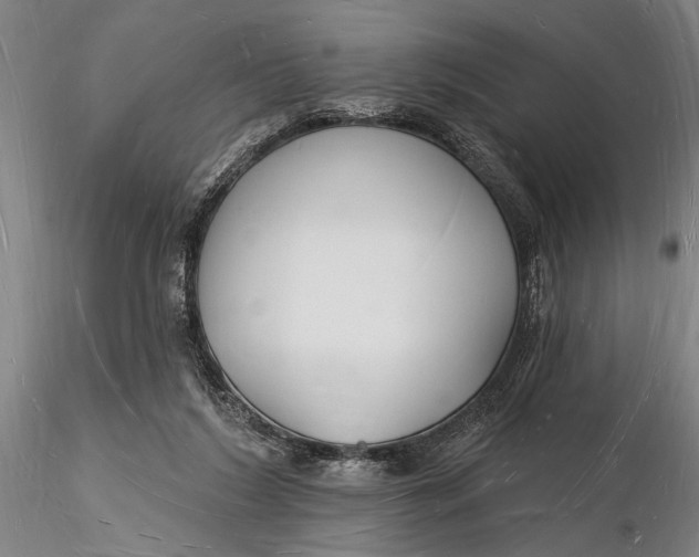 X0000116130212200912141117