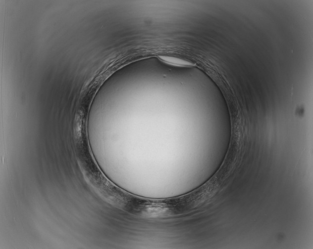 X0000116130214200912141117