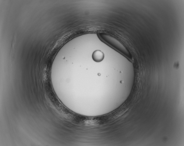 X0000116130216200912141117