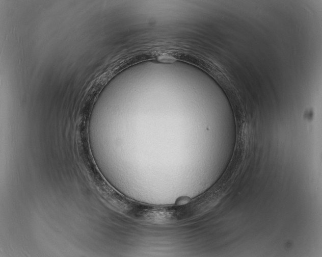 X0000116130217200912141117