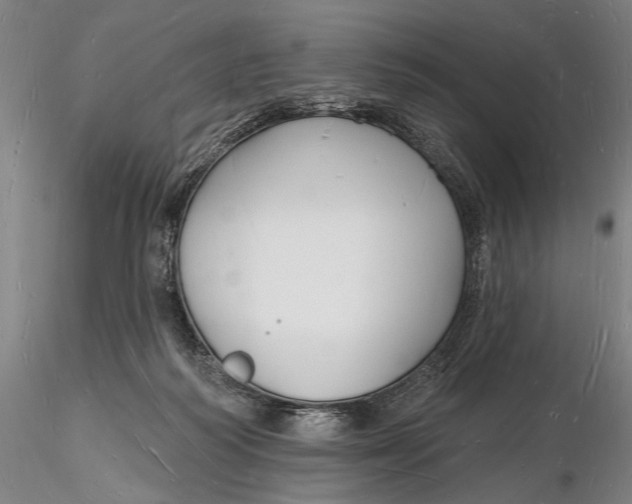 X0000116130218200912141117
