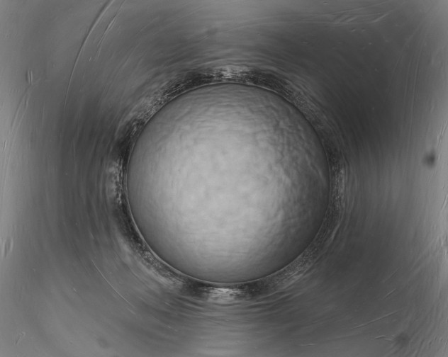 X0000116130222200912141117