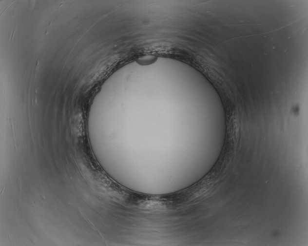 X0000116130224200912141117