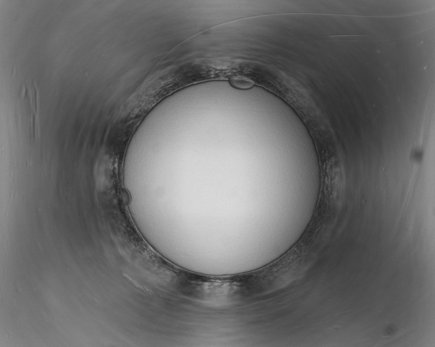 X0000116130225200912141117