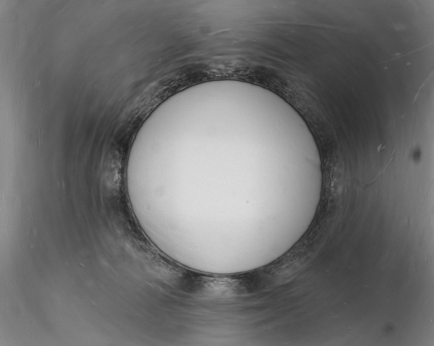X0000116130226200912141117
