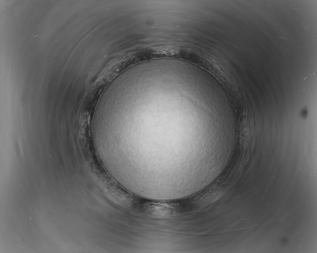 X0000116130229200912141117