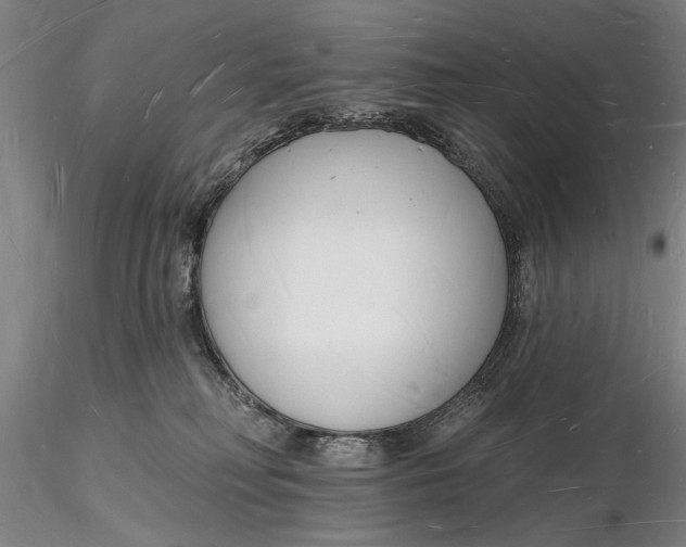 X0000116130230200912141117