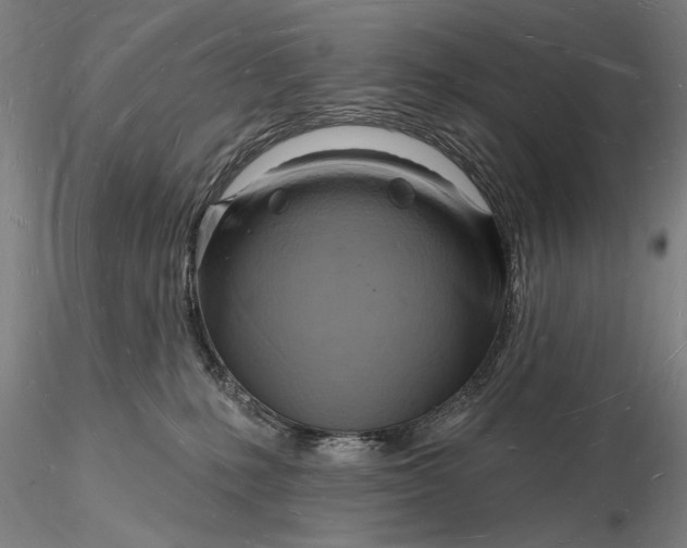 X0000116130231200912141117