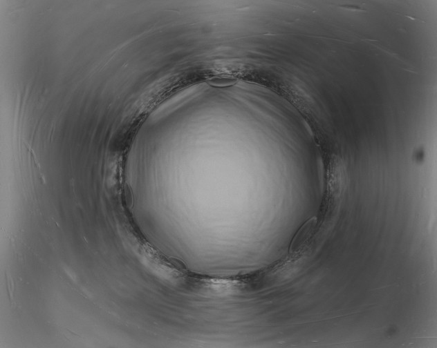 X0000116130233200912141117