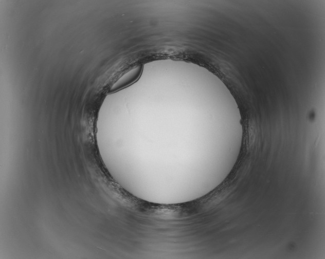 X0000116130236200912141117