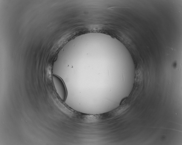 X0000116130238200912141117