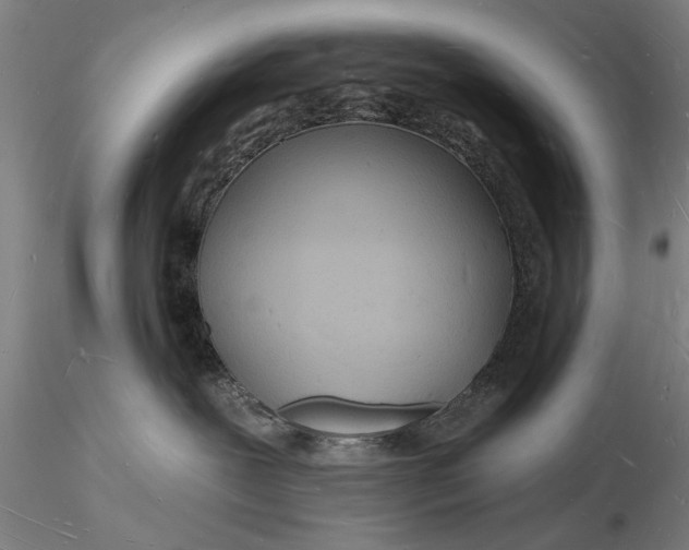 X0000116130239200912141117
