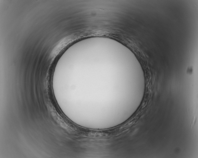X0000116130242200912141116