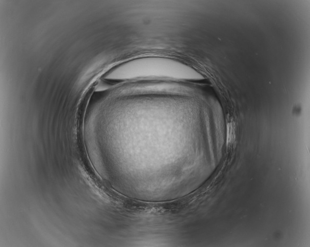 X0000116130243200912141116