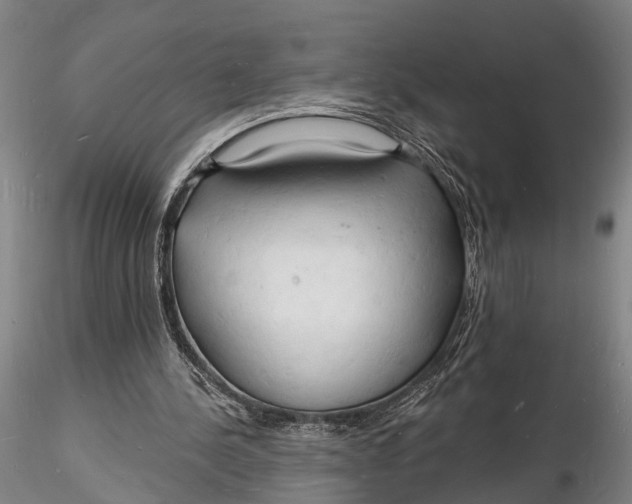 X0000116130244200912141116