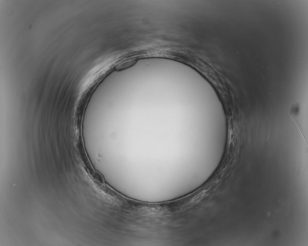 X0000116130245200912141116