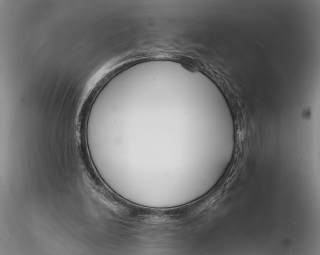 X0000116130246200912141116